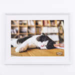 Thumbnail [1]