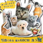 Thumbnail [1]