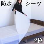 Thumbnail [1]