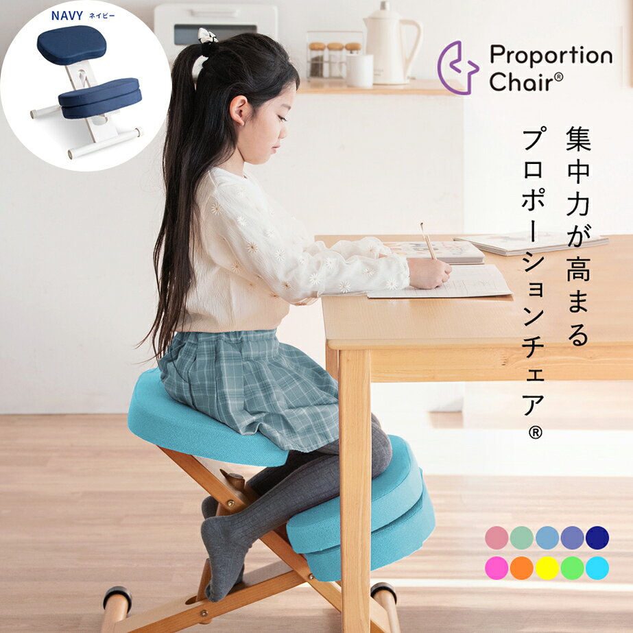 【8/10はエントリーで当店最大P5倍!】【メーカー直送】【代引不可】【北海道・沖縄・離島不可】宮武製作所 補助クッション付き プロポーションチェア ネイビー 背筋矯正 組立式 ホワイト脚 CH-N889CK-WHNV【KK9N0D18P】