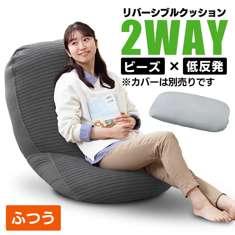 ビーズクッション おしゃれ シンプル 一人暮らし ふつう クッション ソファ リバーシブル 本体 低反発アイリスオーヤマ リバーシブル 2人掛け 本体 単品 カバー別売 ビーズ クッション もっちり リバーシブルビーズクッション グレー RBC-EUR-M