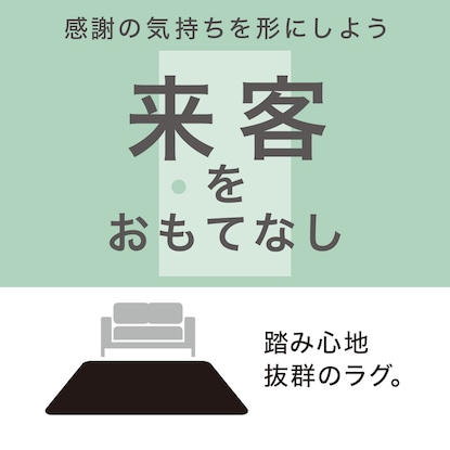 Nパズルマット 9枚入り ふち付き(ムジ5 BE) [3]