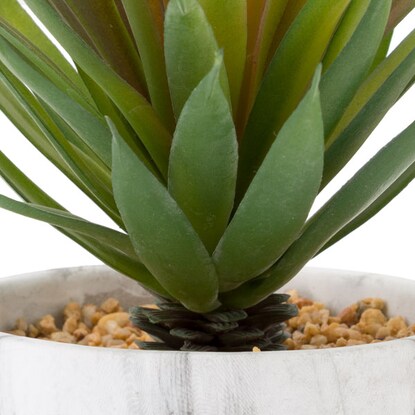 ソードグラス　セメントマーブルポット [3]