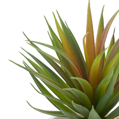 ソードグラス　セメントマーブルポット [5]