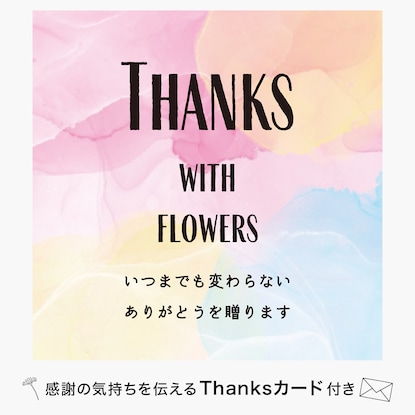 【5月10日～14日にお届け】 生花  カーネーション レッド [2]