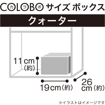 バスケット RD-01 クォーター ダークブラウン [3]