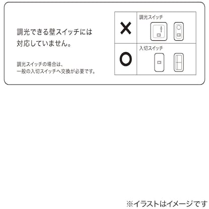 籐のペンダントライト(NA002)