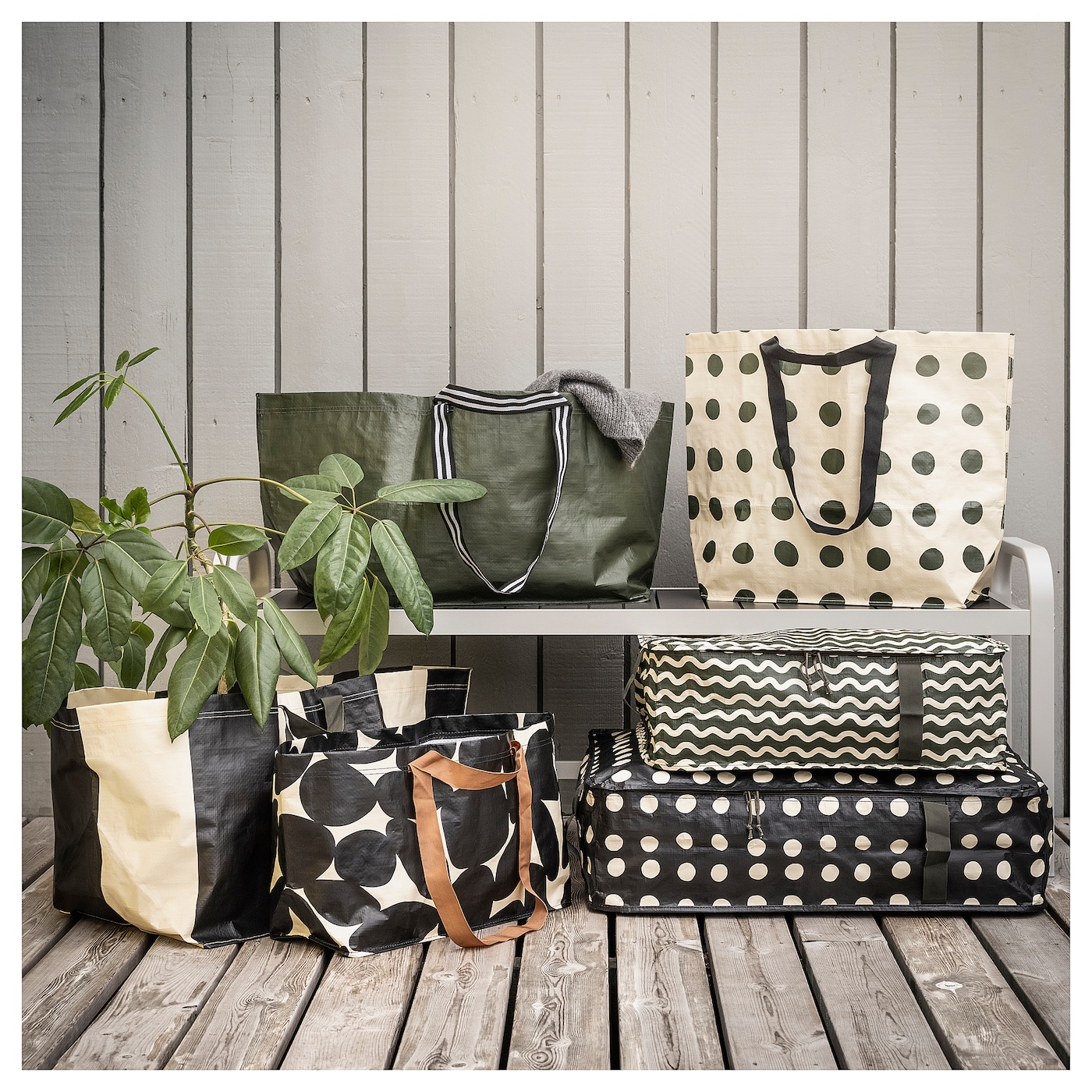 SÄCKKÄRRA セックシェラ [5]