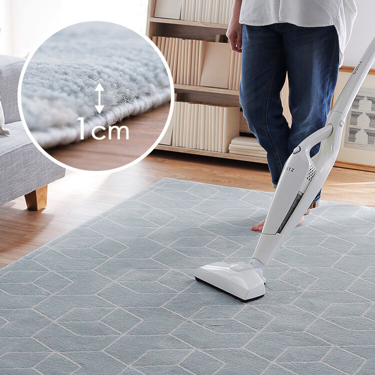 [200×250] Lサイズ 長方形ラグ ウィルトン織 厚手 ベルギー産 [5]