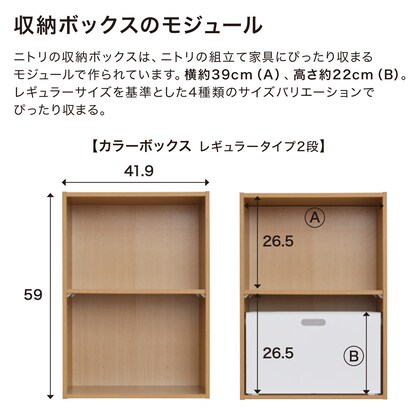 バスケット ティクス2よこ型ハーフ ダークブラウン [2]