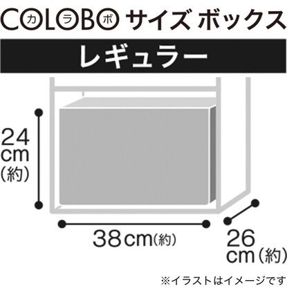 積み重ねできる カラボサイズボックス シャック2 レギュラー ナチュラル [3]