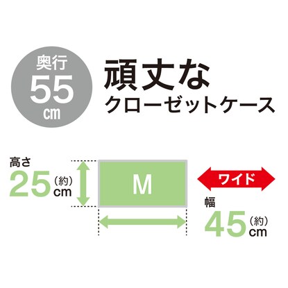 クローゼット用フィッツユニットケース(幅45cm×高さ25cm  ホワイト) [5]