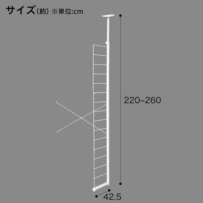 【Nポルダディープ専用】棚板なし追加サイドパーツ(ホワイト) [2]