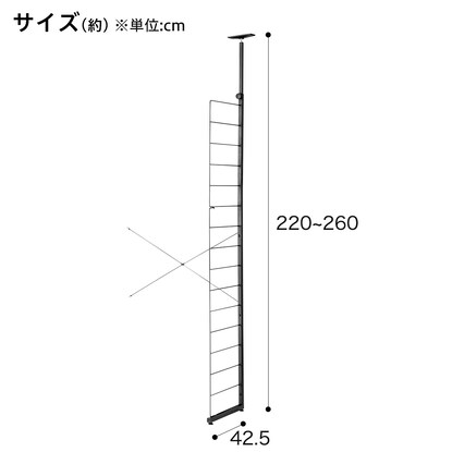 【Nポルダディープ専用】棚板なし追加サイドパーツ(ブラック) [2]