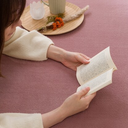 【デコホーム商品】10mmウレタン入り保温+吸湿発熱+蓄熱ラグ（NウォームnsDA01 RO 185X185） [4]