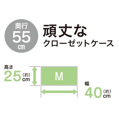 クローゼット用フィッツユニットケース(幅40cm×高さ25cm  ホワイト) [5]