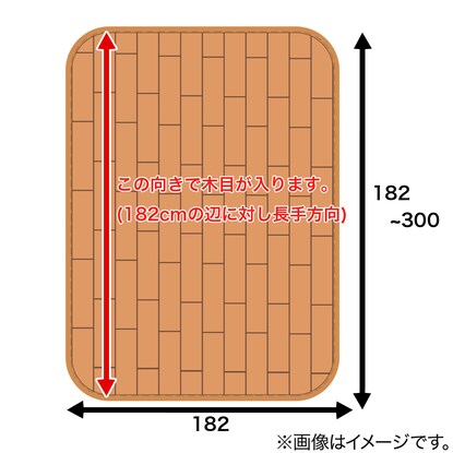 多サイズラグE2224(182X300) [4]