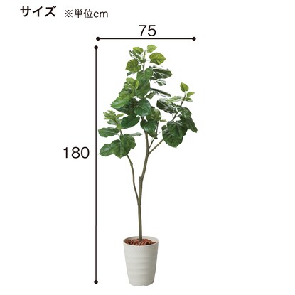 フェイクグリーン(180cm ウンベラータポット 1498BR) [4]