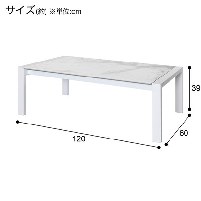 センターテーブル(ES01 セラミック120 WH) [4]