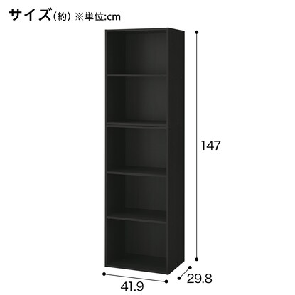 【ネット限定色】連結できるNカラボ レギュラー 5段(ブラック) [2]