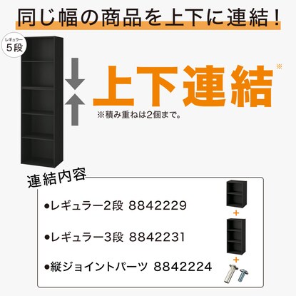 【ネット限定色】連結できるNカラボ レギュラー 5段(ブラック) [3]