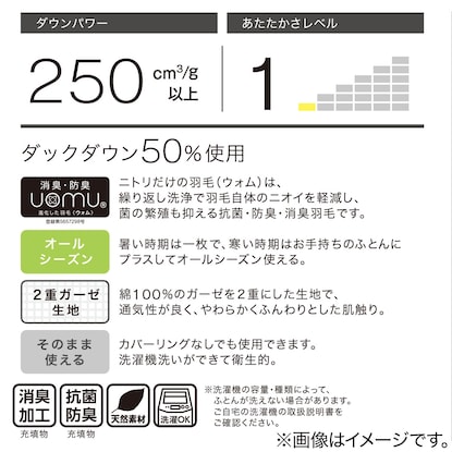 洗えるダウンケット 綿2重ガーゼ 羽毛肌掛け布団　シングル(WガーゼGY K2203 S) [3]