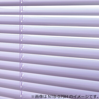 NTブラインド25ワンポール/光触媒(NTB-088H/幅28-80cm/丈241-270cm) [2]