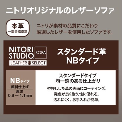 2人掛け右電動リクライニングソファ(チェリーブ スタンダードタイプ NB RE) [3]