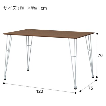 ダイニングテーブル(クーボ3 120 MBR/SI) [2]