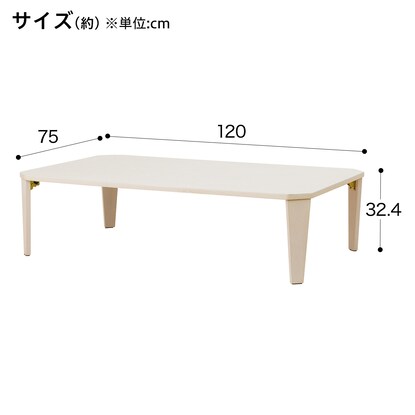 折りたたみテーブル(カムオン120 WW) [2]