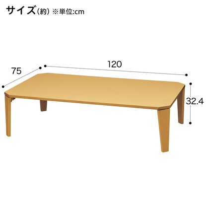 折りたたみテーブル(カムオン120 LBR) [2]