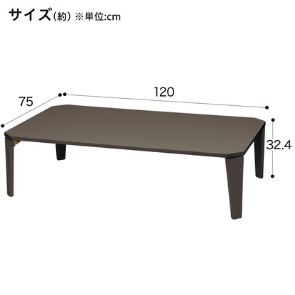 折りたたみテーブル(カムオン120 DBR) [2]