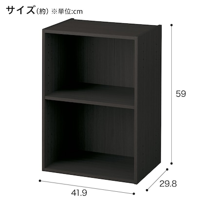 【ネット限定色】連結できるNカラボ レギュラー 2段(ブラック) [2]