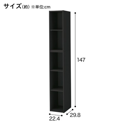 【ネット限定色】連結できるNカラボ スリム 5段(ブラック) [2]