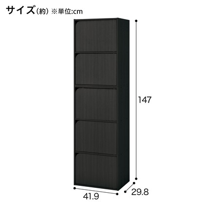 【ネット限定色】連結できるNカラボ 扉付き 5段(ブラック) [2]