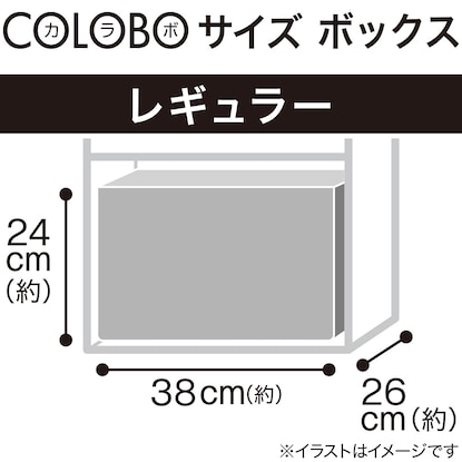 不織布ボックス クーリ2 レギュラー グレー [3]