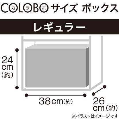 不織布ボックス クーリ2 レギュラー ブラウン [3]