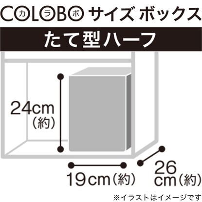 木製ボックス シャック2 たて型ハーフ ブラック [3]