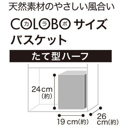 自然素材バスケット たて型ハーフ(バンクアン) [3]