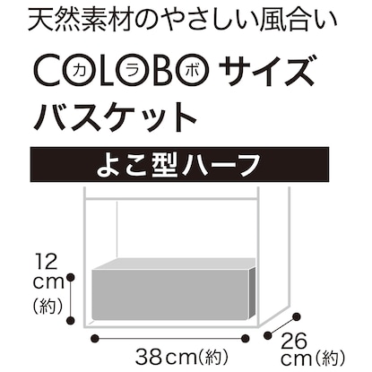 自然素材バスケット よこ型ハーフ(バンクアン) [3]