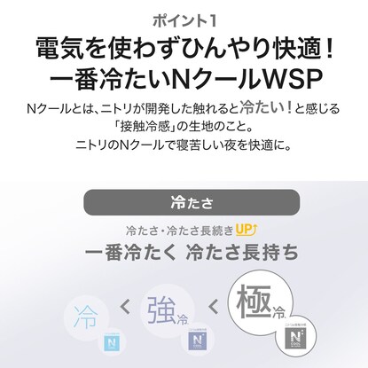 置くだけ簡単！敷きパッド　セミダブル(NクールWSP+メッシュ SD S2304) [3]