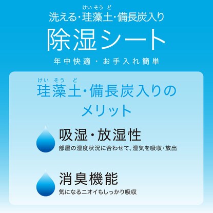 【デコホーム商品】洗える珪藻土入り除湿シート　ダブル(T2 BL D) [3]