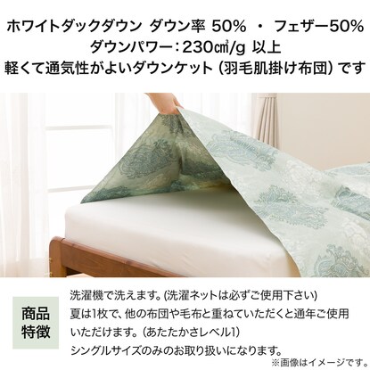 洗える肌掛布団 ホワイトダックダウン50％ シングル グリーン [3]