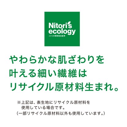 抗アレル物質・防音・抗菌防臭・防ダニカーペット(Nフォーカス BE 4.5J) [5]