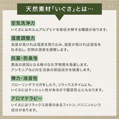 ユニット畳 縁なし (正方形 55×55cm NA c) 1枚 [5]