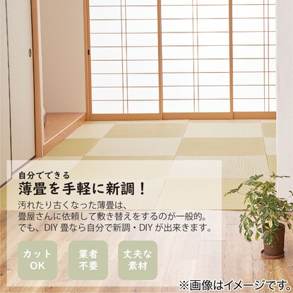 DIY用薄畳(12枚セット グリーンストライプ 82×82cm) [4]