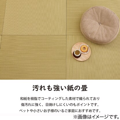 DIY用薄畳(12枚セット グリーンストライプ 82×82cm) [5]