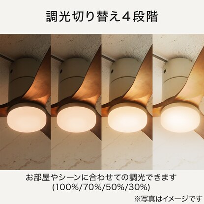 Modern Collection LED シーリングファン REAL wood blades(電球色 ホワイト) [3]