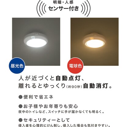 LEDミニシーリングライト エントラ 昼光色(60D) 【小型家電リサイクル回収券有 ※ニトリネット限定】 [2]