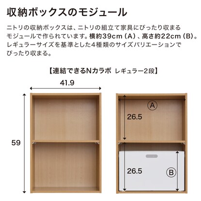 連結できるNカラボ レギュラー 5段(ホワイトウォッシュ) [4]